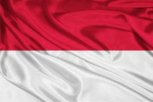 Binarnye opciony v Indonezii